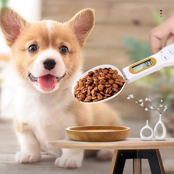 🔥Hot Product🔥Electronic Measuring Spoon